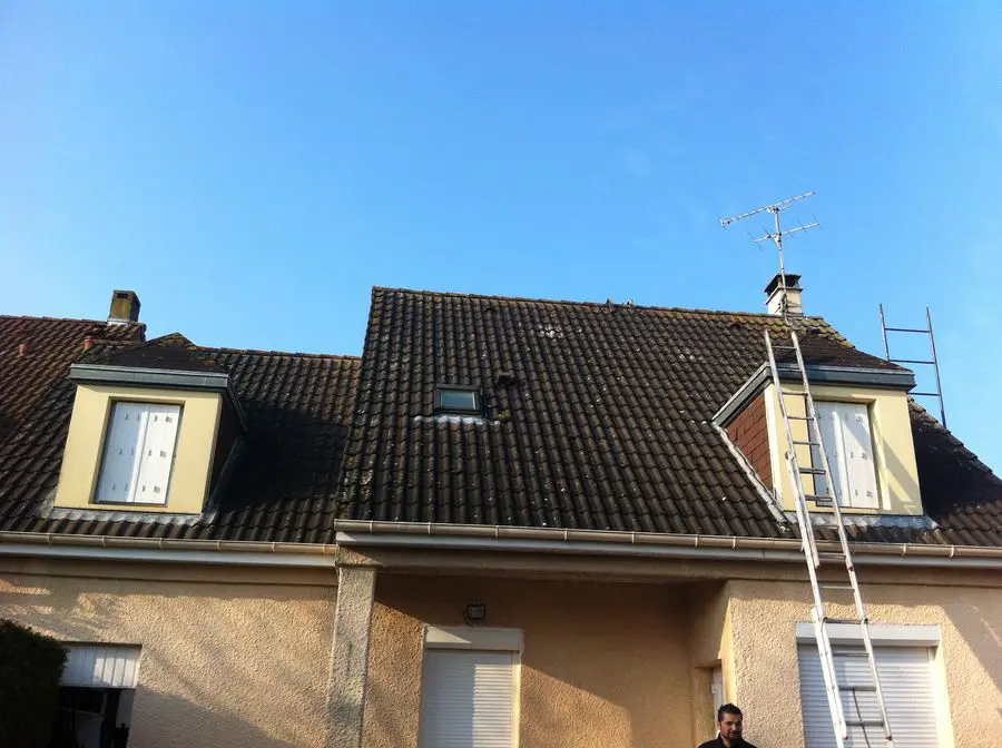 Toiture couverte de mousse avant nettoyage dans le Val-de-Marne